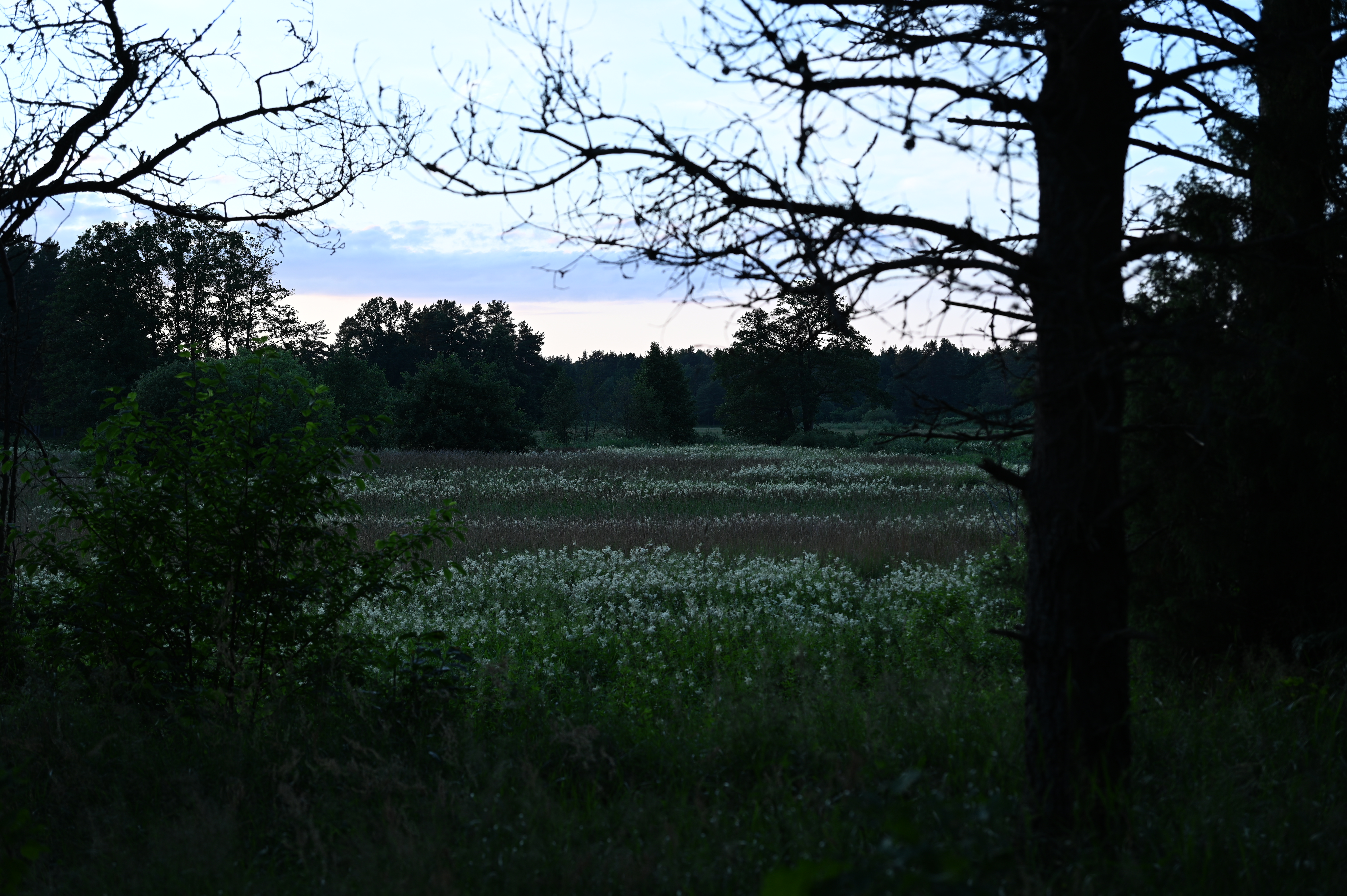 2025/07/09-14 - trip/DSC_0082.JPG